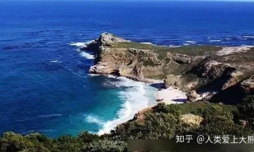 金银花的功效与作用泡水喝的功效鱼腥草专区_金银花的功效与作用泡水喝的功效蒲公英专区_金银花的功效与作用泡水网