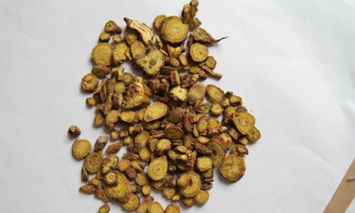 金银花泡茶的功效作用与主治-金银花的功效与作用泡水喝的功效鱼腥草专区_金银花的功效与作用泡水喝的功效蒲公英专区_金银花的功效与作用泡水网